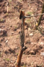 th_IMG_0782.jpg