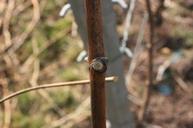 th_IMG_0783.jpg