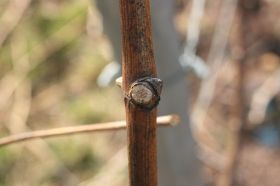 th_IMG_0784.jpg