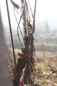 th_IMG_0788.jpg
