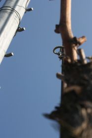 th_IMG_0800.jpg
