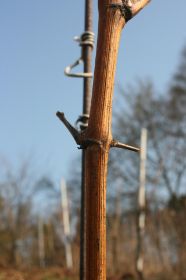 th_IMG_0805.jpg