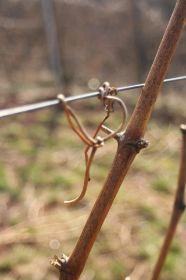 th_IMG_0807.jpg
