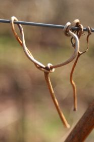 th_IMG_0808.jpg