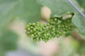 th_IMG_0872.jpg