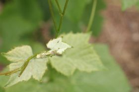 th_IMG_0873.jpg