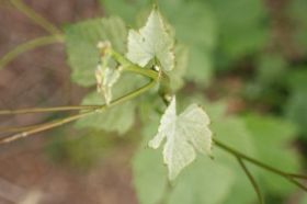 th_IMG_0874.jpg