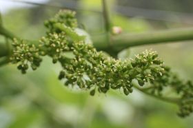 th_IMG_0875.jpg