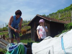 th_th_DSC00088.jpg